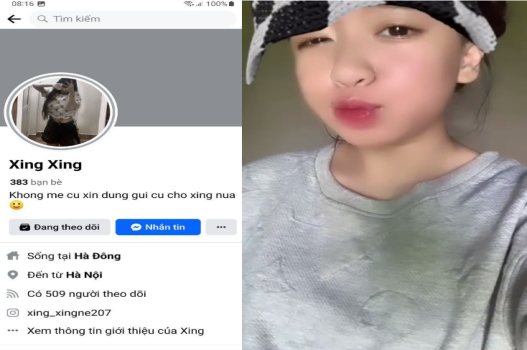 Sinh viên mới lớn đẩy mạnh tay